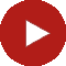 icon-video